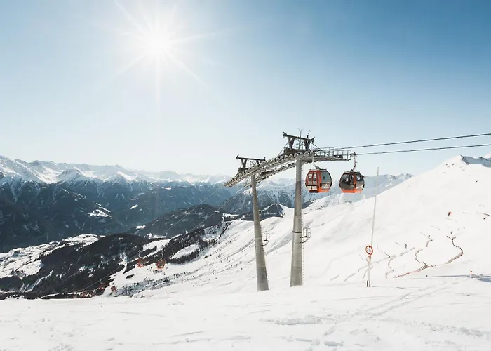 Alpine Goies Superior (adults Only) ラディス