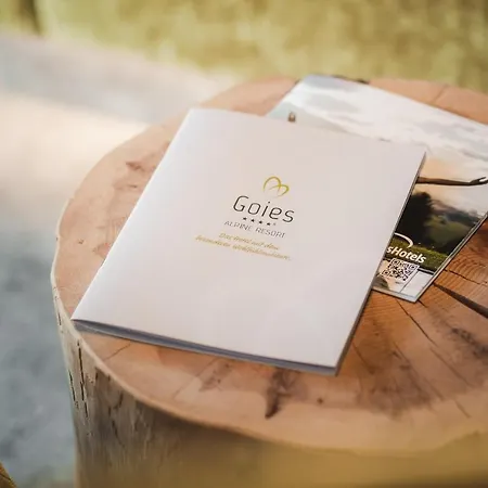 Hotel Alpine Goies Superior Ladis